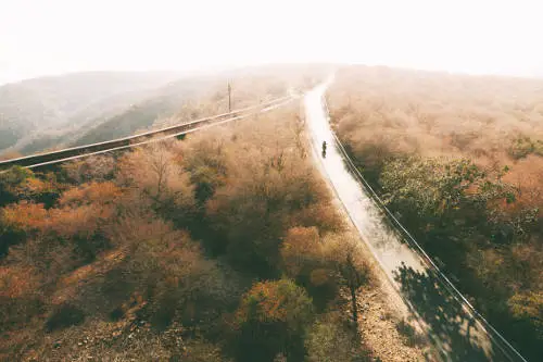 A lone cyclist is riding on a winding road through a hilly, autumn-colored landscape with sparse trees. Bathed in soft sunlight, the scene creates a serene and peaceful atmosphere, reminding one to avoid common mistakes when buying key man insurance by appreciating each moment's tranquility.